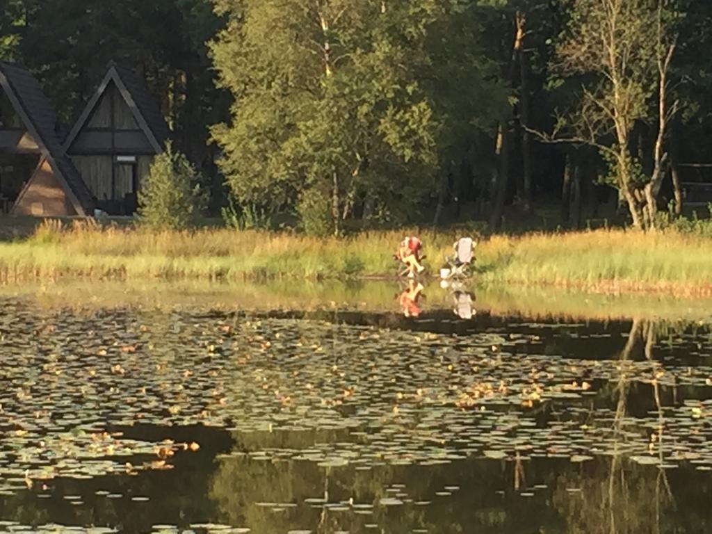 'T Vosseven Vakantiehuizen Stramproy Rum bild